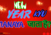HAM NEW YEAR KYU MANATE HAI?AUR NEW YEAR SE JUDE KUCH ANAJNE BAATEIN.