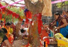 INDIA KE LOG PEIDO KA POOJA KYU KARTA HAI? INDIA KE LOG PEIDO KA POOJA KYU KARTA HAI?