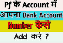 Pf Account Me Bank Account Kaise Add Kare? Pf Account Me Bank Account Kaise Add Kare?
