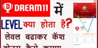 Dream 11 Me Level Kya Hota Hai? Dream 11 Me Level Kya Hota Hai?