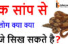 एक सांप से हमलोग क्या क्या चीजे सिख सकते है? एक सांप से हमलोग क्या क्या चीजे सिख सकते है?
